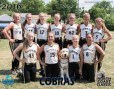 Cobras